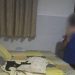 Suami Merantau Cari Uang, Istri Malah Digarap Pak Kades, Kepergok Warga saat Beradegan Ranjang