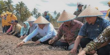 Wali Kota Padangsidimpuan Tanam Perdana Demplot Bawang Merah di Desa Labuhan Labo