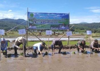Bupati Kopli Launching MT II Lebong Selatan