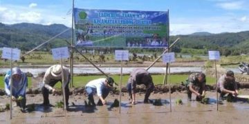 Bupati Kopli Launching MT II Lebong Selatan