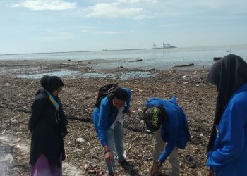 Sampah Berceceran PK PMII STIT Batu Bara Turun Bersihkan Sampah di Kawasan Pantai Kuala Indah