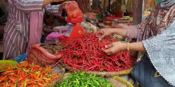 Harga Cabai Melejit, di Pasar Pandan Kabupaten Tapanuli Tengah