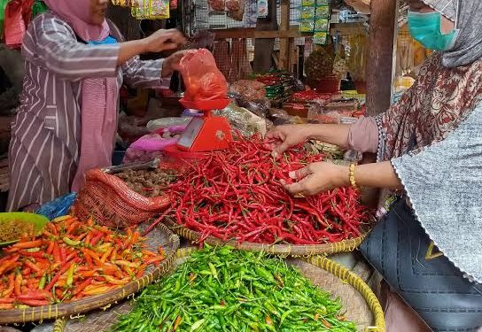 Harga Cabai Melejit, di Pasar Pandan Kabupaten Tapanuli Tengah