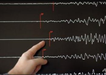 Tejadinya Gempa Di Bengkulu Berkekuatan 5,4 M