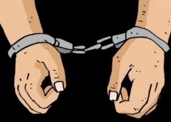 Apes, Pria di Binjai Ditangkap Usai Jual Sabu ke Polisi
