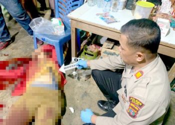 Istri Tewas Dibunuh Suami di Dairi, Ini Pemicunya