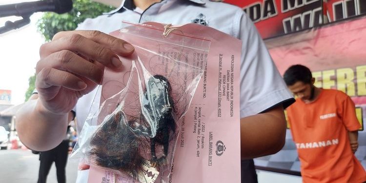 Mengaku Orang Pintar, Dukun Mencabuli Bocah Perempuan