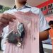 Mengaku Orang Pintar, Dukun Mencabuli Bocah Perempuan