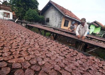Pengusaha di Silulaut Minta Pemkab Asahan Cari Solusi Pemasaran Terasi