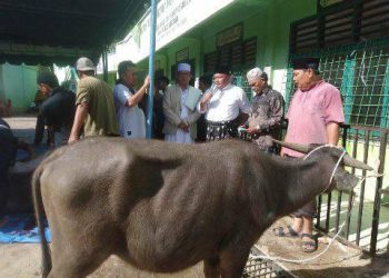 M Syarfi Hutauruk Berkurban di Sibolga dan Tapteng