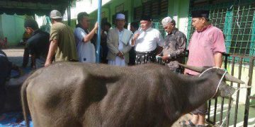 M Syarfi Hutauruk Berkurban di Sibolga dan Tapteng