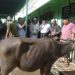 M Syarfi Hutauruk Berkurban di Sibolga dan Tapteng