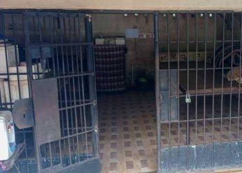 8 Tersangka Kerangkeng Manusia di Langkat Akan Jalani Sidang Perdana di PN Stabat