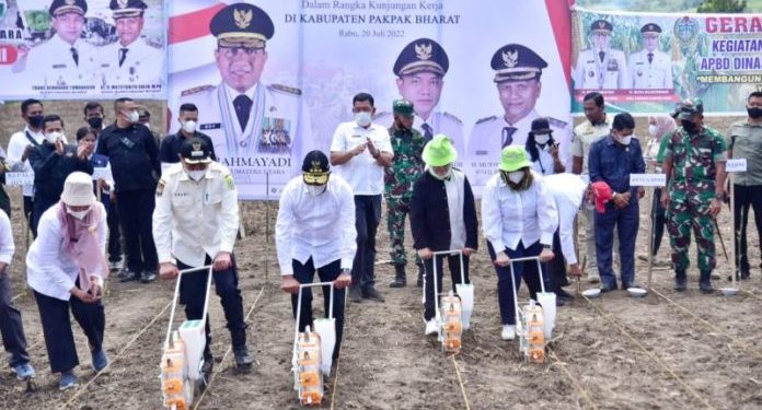 Edy Rahmayadi Optimis Pakpak Bharat Jadi Produsen Jagung Utama Sumut