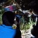 Polsek Percut Sei Tuan Temukan Humaira Putri Sudah Tak Bernyawa