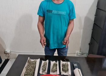 Satresnarkoba Polres Tanah Karo Tangkap Pengedar Ganja Di Merek