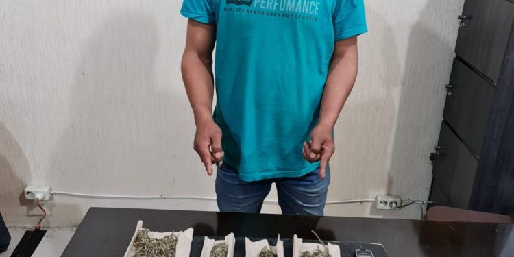 Satresnarkoba Polres Tanah Karo Tangkap Pengedar Ganja Di Merek