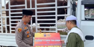 Kapolres Langkat sampaikan hewan qurban Kapoldasu kepada Tuan Guru Babussalam