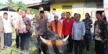 Bupati Nias Serahkan Hewan Qurban Terhadap Umat Muslim Dalam Memperingati Hari Raya Idul Adha 1443 Hijriah Tahun 2022