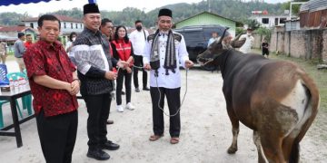 Serahkan Hewan Kurban, Bupati Taput Harapkan Kerukunan Umat Beragama Tetap Terjaga