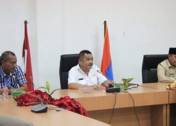 Antisipasi PMK, Pemkab Labuhanbatu Ikuti Rapat Koordinasi Penanganan PMK