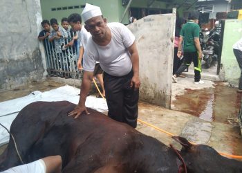 Gemma Masjid Sembelih Hewan Kurban