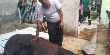 Gemma Masjid Sembelih Hewan Kurban