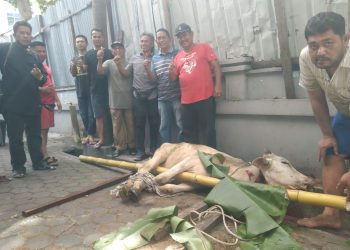 BKM Masjid Amal Silaturrahim Baru Sembelih Hewan Kurban