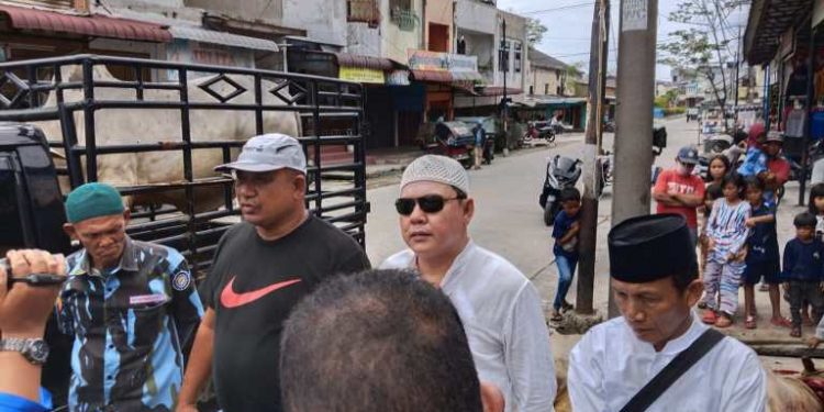 Idul Adha 1443 H, PAC IPK Belawan Qurban 2 Ekor Lembu