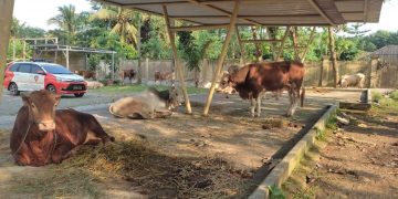 Jelang Idul Adha Polda Banten Sebar Hewan Kurban
