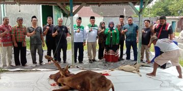 DPC PKB Kota Medan Sembelih 3 Ekor Hewan Kurban