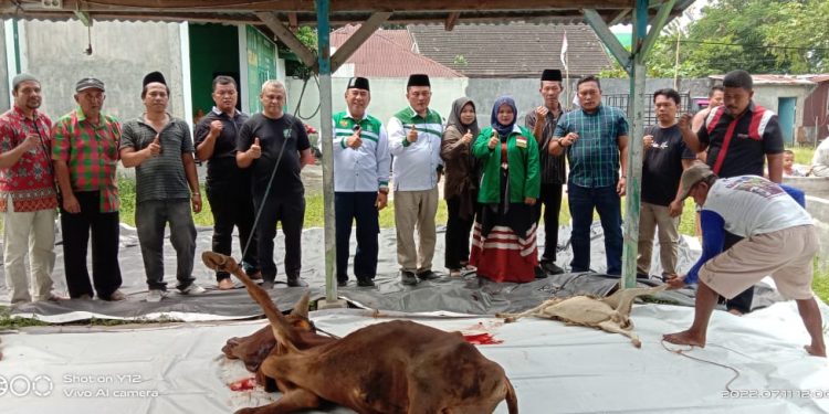 DPC PKB Kota Medan Sembelih 3 Ekor Hewan Kurban