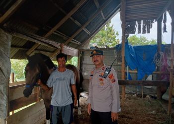 Polsek Percut Seituan Sambangi Peternak di Desa Laudendang Antisipasi PMK
