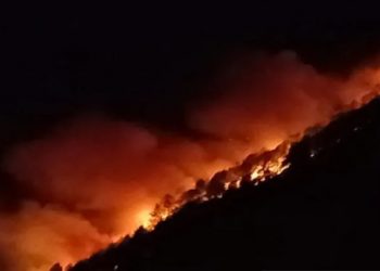 Kebakaran Hutan Sebabkan Seorang Warga Hangus Terbakar