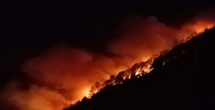 Kebakaran Hutan Sebabkan Seorang Warga Hangus Terbakar
