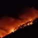 Kebakaran Hutan Sebabkan Seorang Warga Hangus Terbakar