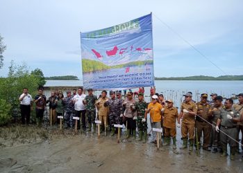 Lanal Nias, Forkopimda Nias Selatan dan Masyarakat Tanam 2.000 Bibit Mangrove
