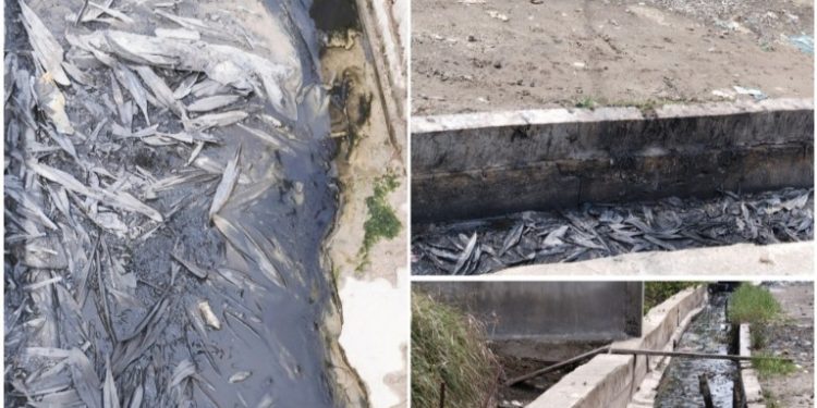 Limbah Tak Bertuan Membusuk Dalam Drainase PPS Belawan