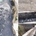 Limbah Tak Bertuan Membusuk Dalam Drainase PPS Belawan