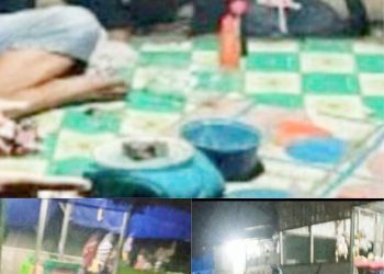 Diduga Dibeckup Orang Kuat, Praktek Perjudian Marak Di Pancur Batu