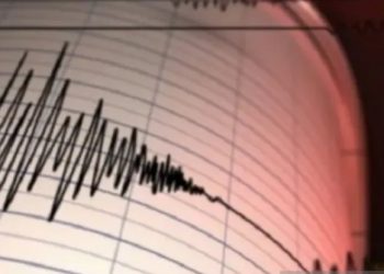 Gempa Magnitudo 5,3 guncang Gorontalo