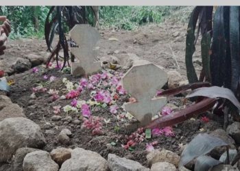 Pelajar SMP Di Bully Oleh Temannya Hingga Meninggal : Dipaksa Setubuhi Kucing