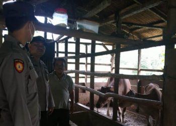 Waspada PMK, Polsek Sipirok Cek Kandang Ternak di Desa Luat Lombang