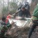 Kebakaran Hutan dan Lahan di Muara Taput, Satu Warga Hangus Terbakar