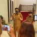 Wali Kota Medan : Semua Perusahaan Swasta Wajib Membayar Retribusi Untuk Penggunaan Stadion Teladan