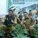 Bank Sumut Tingkatkan Modal Usaha Petani Lewat KUR Klaster Kopi & Jagung