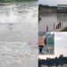Gawat! Ikan Mabuk di Sungai Padang Diduga Akibat Pembuangan Limbah