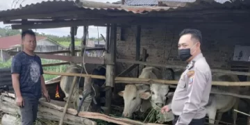 Polres Simalungun Aktif Lakukan Sambang dan Penyuluhan PMK