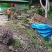 Truk Tronton Tabrak Tugu Kera Sibaganding, Supir Tewas Dilokasi