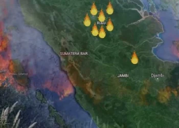 19 Titik Panas Terdeteksi di Sumut, Suhu Tertinggi Capai 35⁰ C
